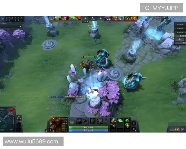 dota2比赛都选黑鸟-揭秘Dota 2比赛中黑鸟成为首选英雄的背后原因-dota2比赛都选黑鸟