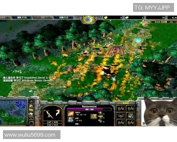 dota1优酷比赛-重温经典，DOTA1优酷比赛回顾-dota1优酷比赛